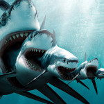 Акулы – машины для убийства на пике эволюционного развития