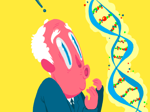 5 вещей, которые определяют гены
