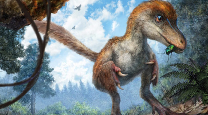 Самые удивительные находки, которые оказались динозаврами: От «воробушков» до древних гигантов