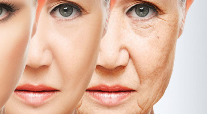 Механизмы старения: что наука знает о продлении жизни