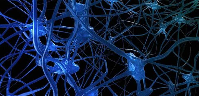 Искусственные нейронные сети: архитектуры и обучение